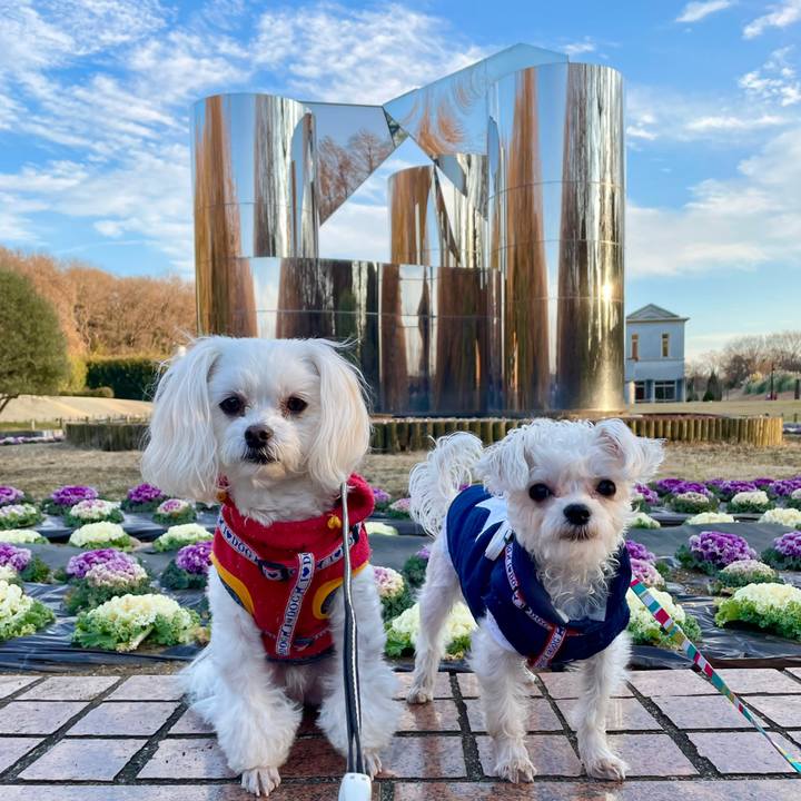 6c9e1215 8243 418c 8454 9bf9c076526e 1643532252459