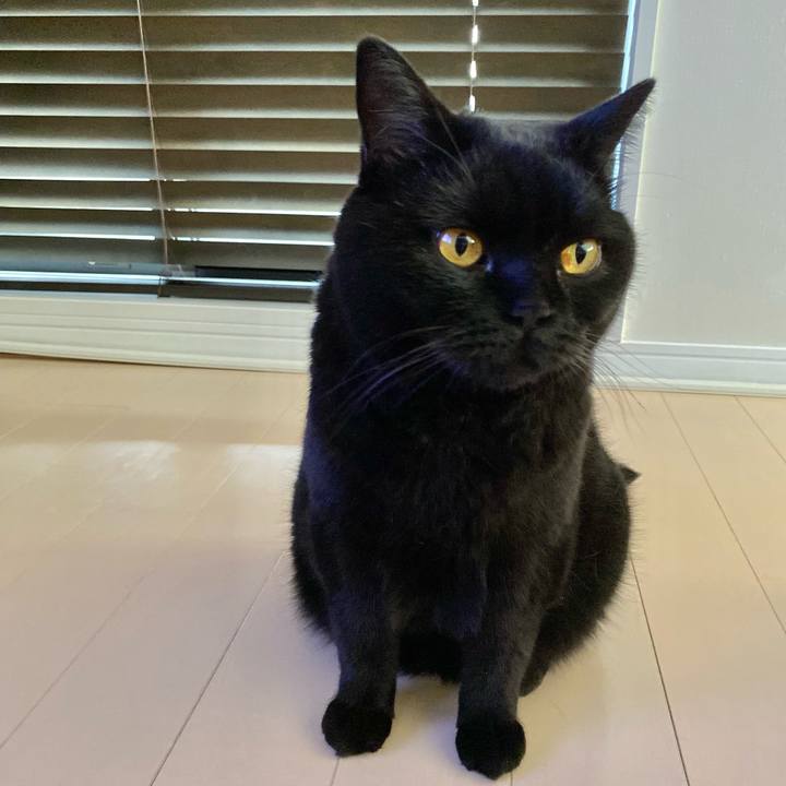 6c9e1544 d254 46a8 9d26 6925252fcc1a 1661498387272