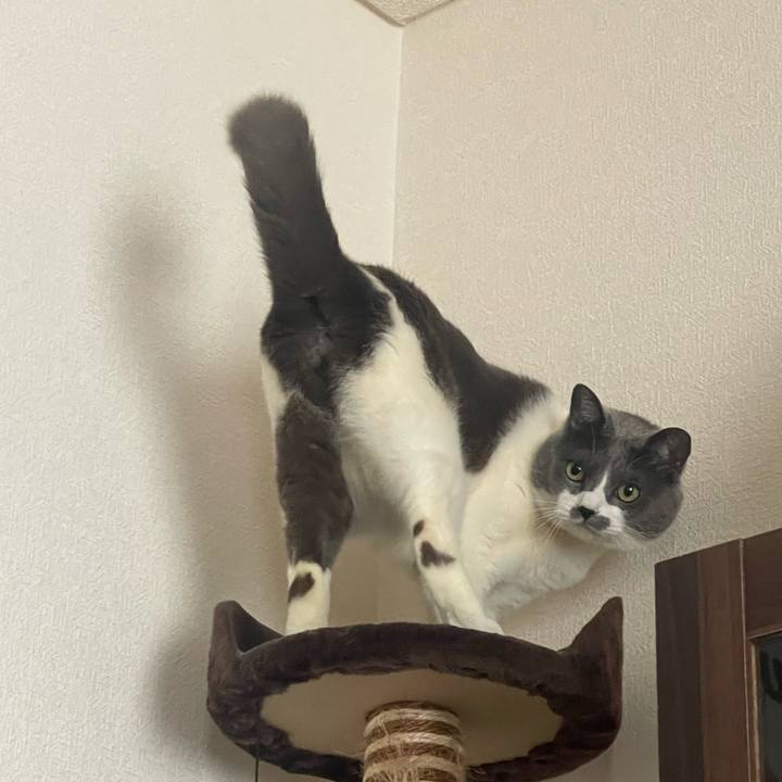 6c9e2284 2c45 4da5 b241 8e07025cdc55 1716185033035