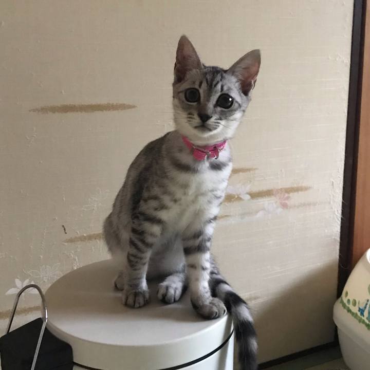 6c9e2aec 637e 44e7 8051 4824f3cd2128 1567395311474