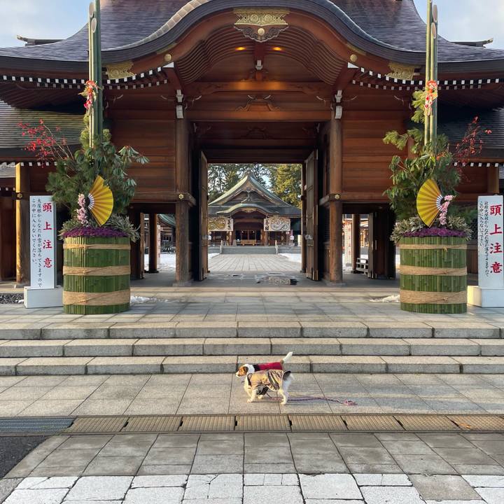 6c9e3f5b 5ad9 43a6 909a 9023dac4775c 1735513998958