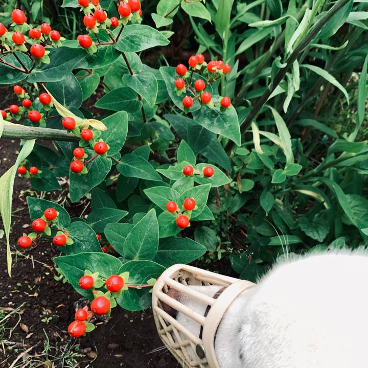 6c9e5085 099d 458a b70e bd534fb162ab 1658349222510