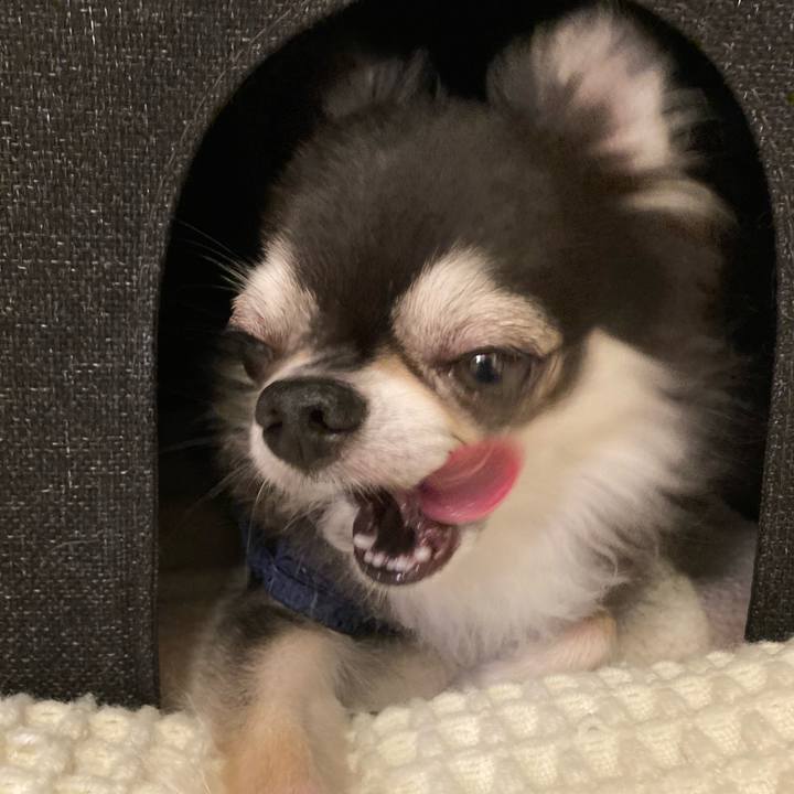 6c9e5715 d557 4a74 bfc6 6b047163e1a0 1719762351808