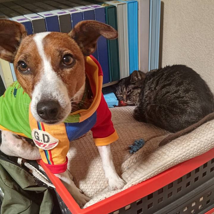 6c9e5edd 568c 408f b564 1e6ed5c5ba07 1655294613024