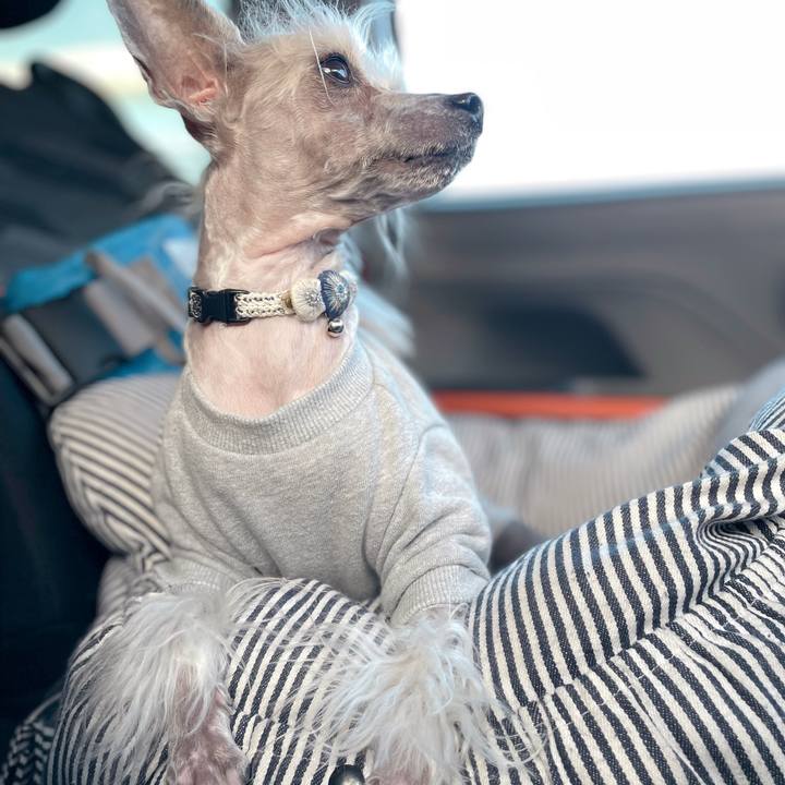 6c9e6420 c84c 48cc 8d83 65b80df13dc1 1764322197041