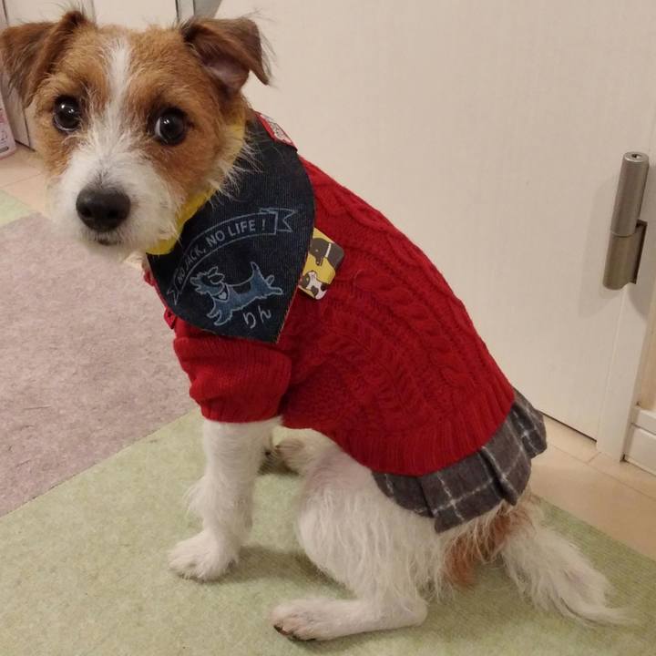 6c9e8ac3 7c92 4c21 a0d9 52bf45c5e743 1541858028975