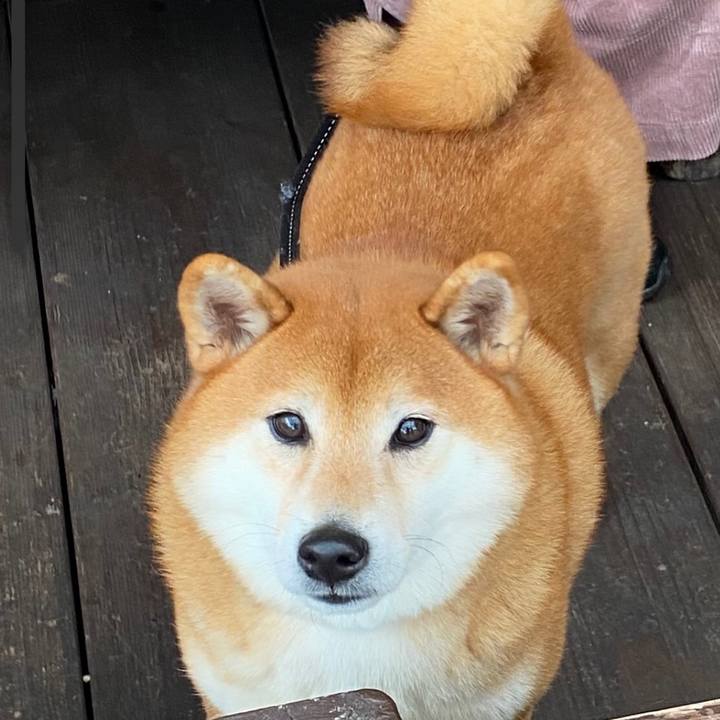 6c9eaf65 d92a 4b0a 867a d006a2a3c2e6 1606726992195