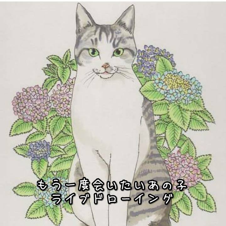 6c9efeb6 9a8a 4a60 828f 508f81caa98a 1579442301390