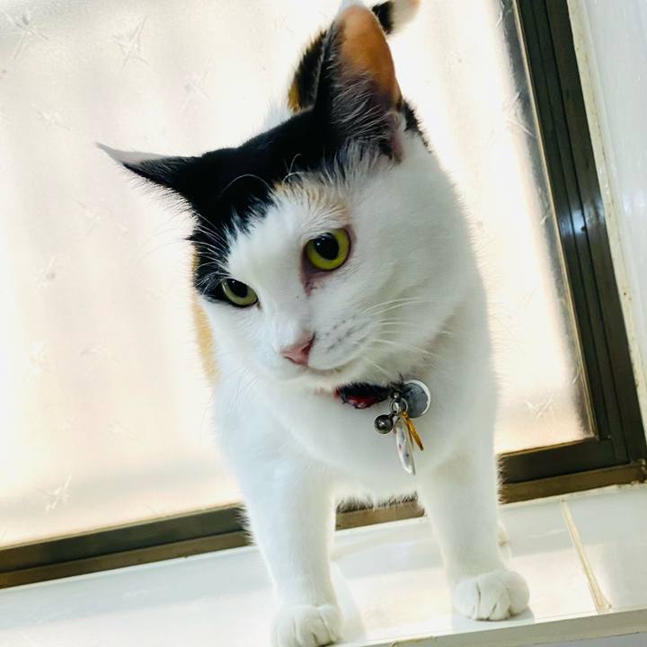 6c9effc7 46c2 459e 8b1e b683840bc2f9 1722898404916