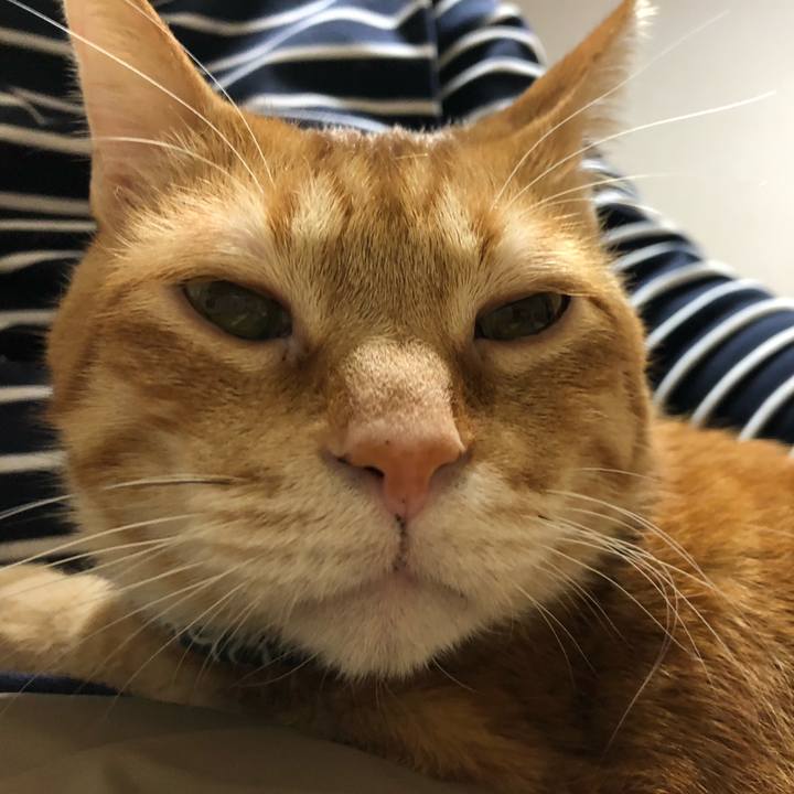 6c9f069e b8f3 4bfd bb45 5d49009d3654 1577713211516