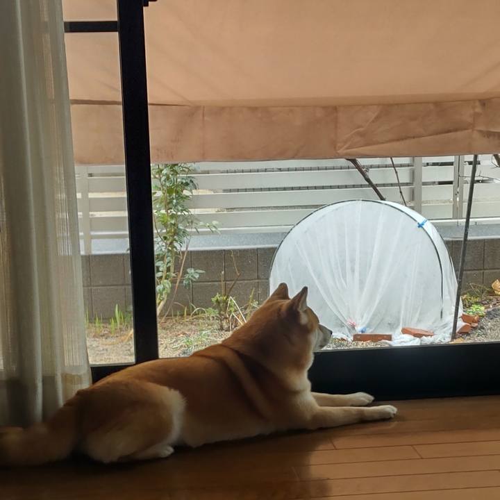 6c9f0eed 4c11 47ae 8a1c 81c6a1bf8940 1771992606454