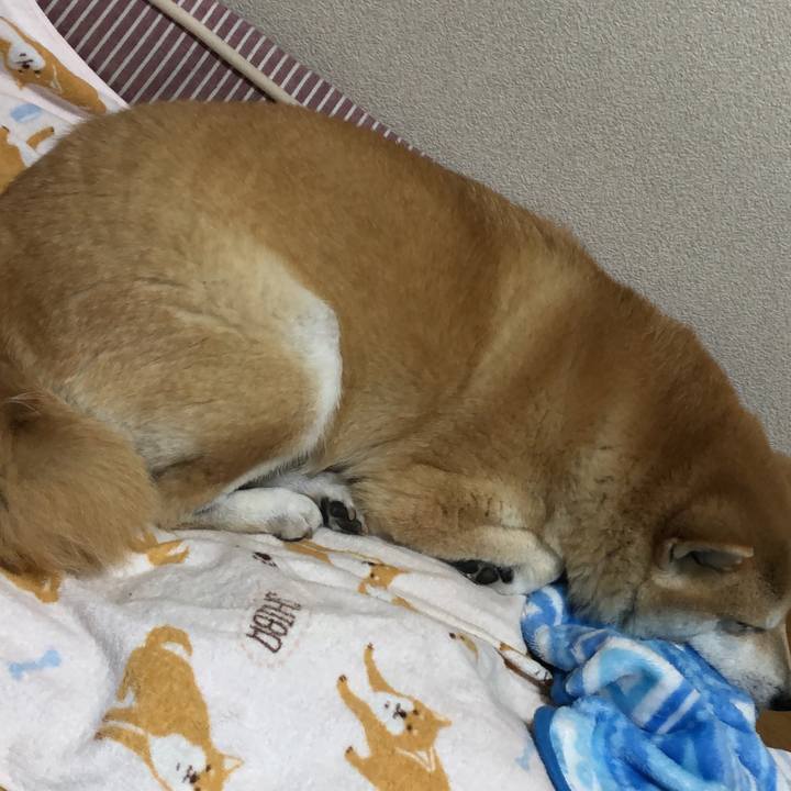 6c9f3c3c ad5f 4982 80d0 36057c5103d3 1608794607279