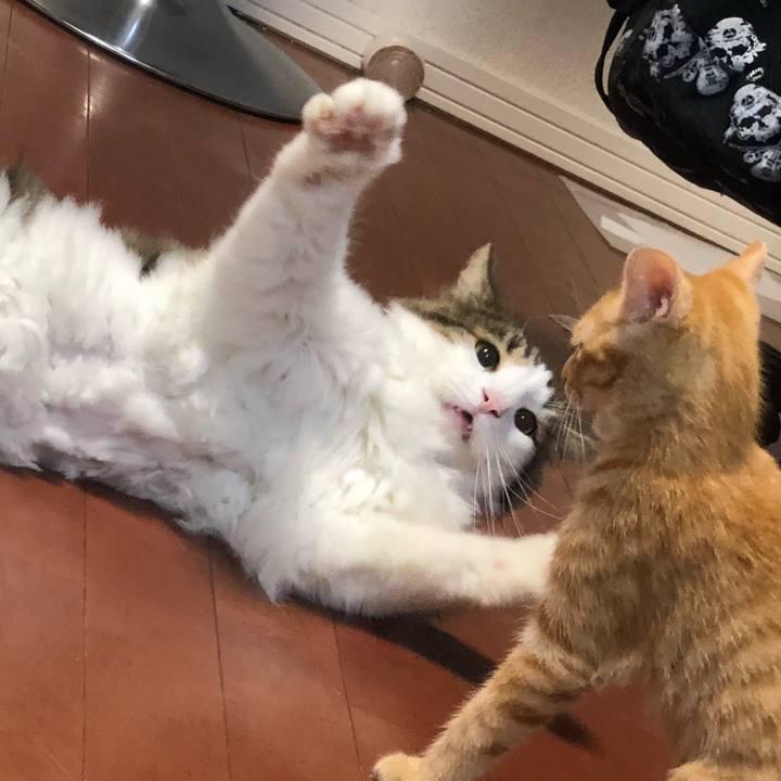 6c9f449e 6e6f 4bd1 a75d 4b3dcf6e1888 1565600932292