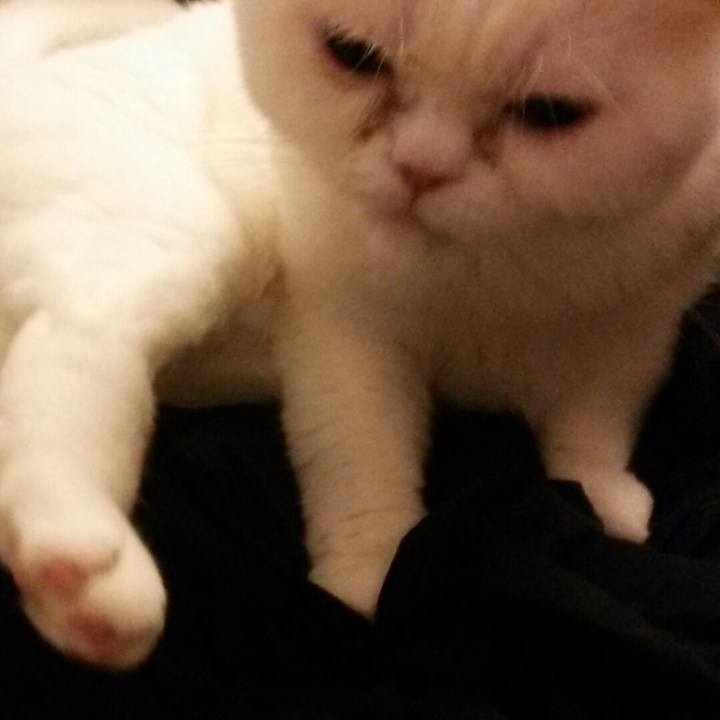 6c9f59e5 9272 4020 9c5c c471519526fa 1526477132311