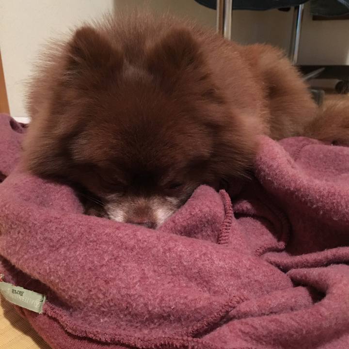 6c9f69e4 4813 4f25 a243 e053bc9d7065 1526216341726