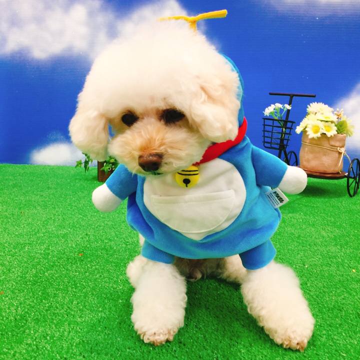 6c9f8665 3707 488f bd33 57ee4c2a00a5 1510547006455