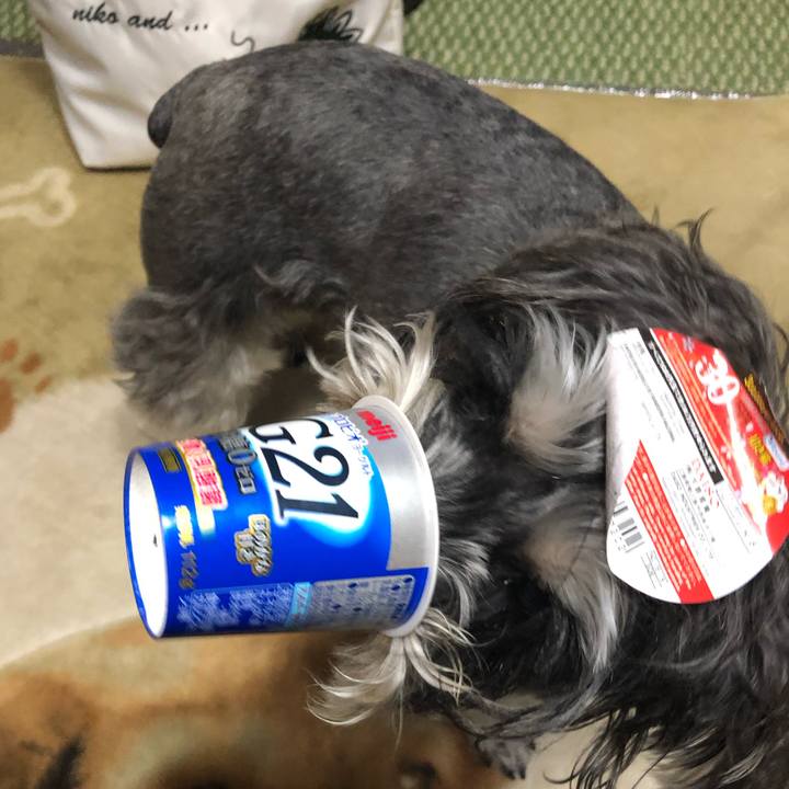 6c9f9a46 8337 4c93 bfa6 c220d3378630 1546700713802