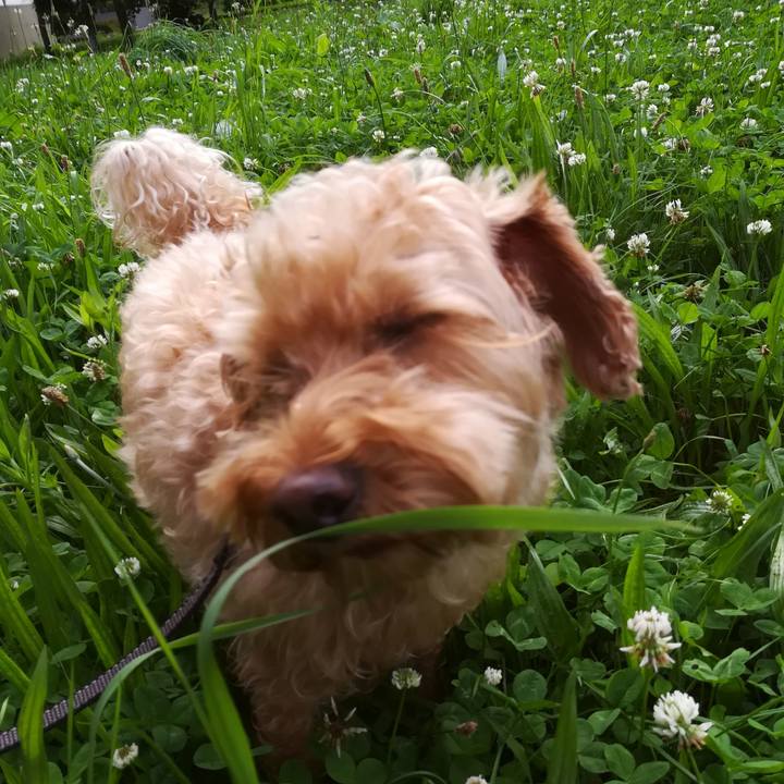 6c9f9a7e d10a 4966 a368 bf782079557d 1531867153044