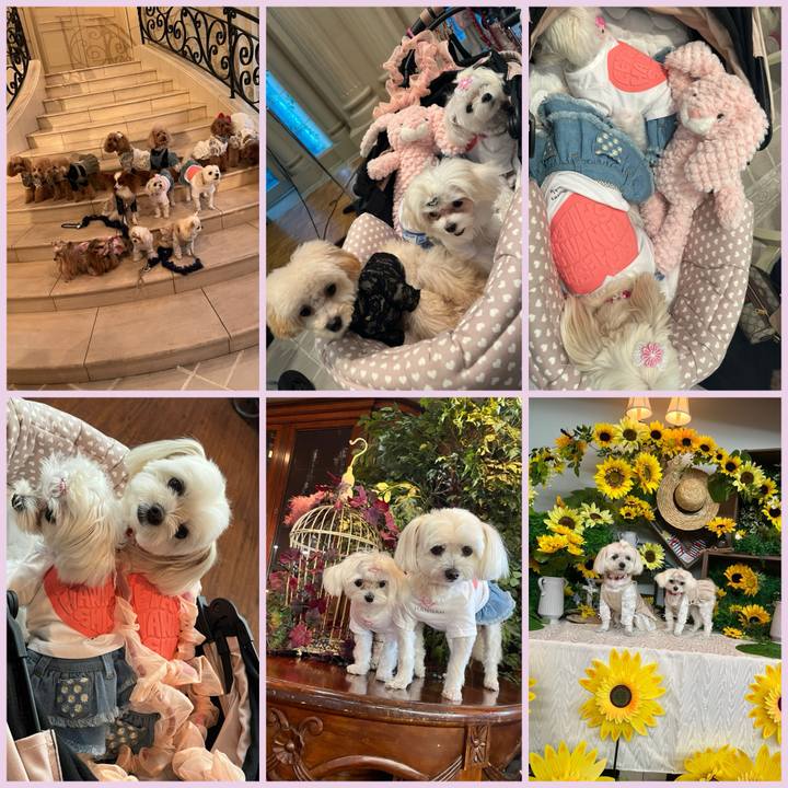 6c9f9f6b 40df 43c2 804e 4ca3bf39f356 1725209631171