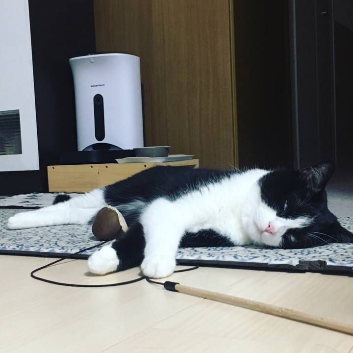 6c9f9f78 6497 4666 bfa6 552bdda6d3d3 1596288649213