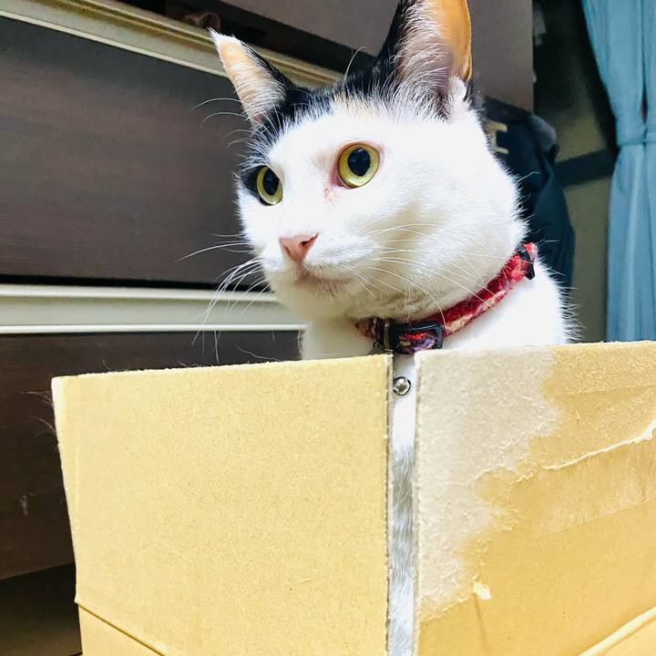 6c9fcf17 eda0 4275 9689 8d185e80f613 1749735581174