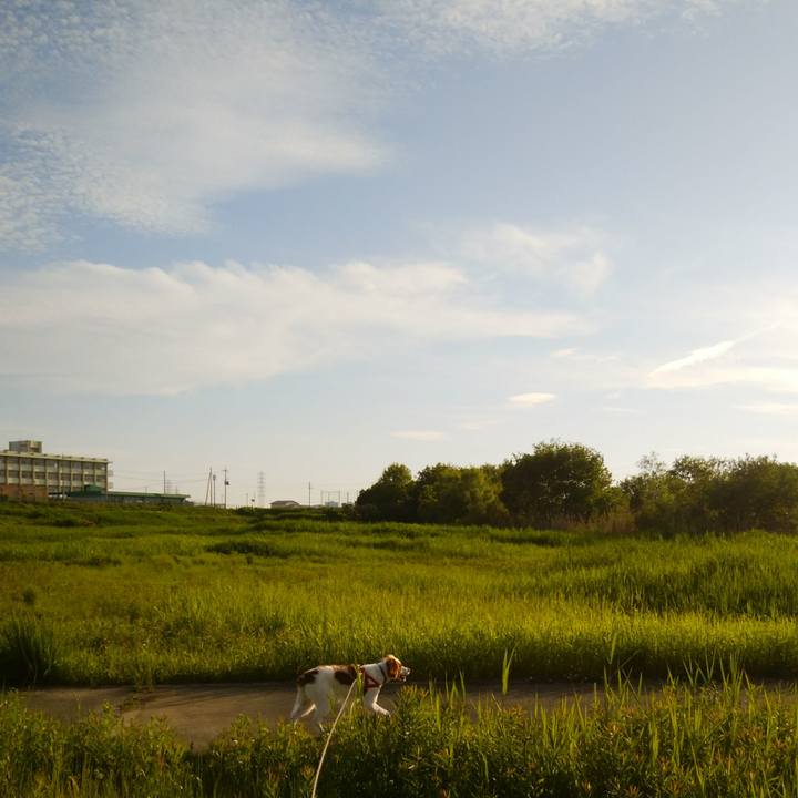 6c9fd5c2 f56f 4977 a1f0 c81f3e8ff715 1526127029523