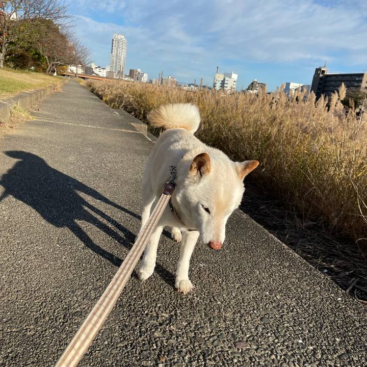 6c9ff149 e77e 4c39 9383 8a71966edede 1638193398806