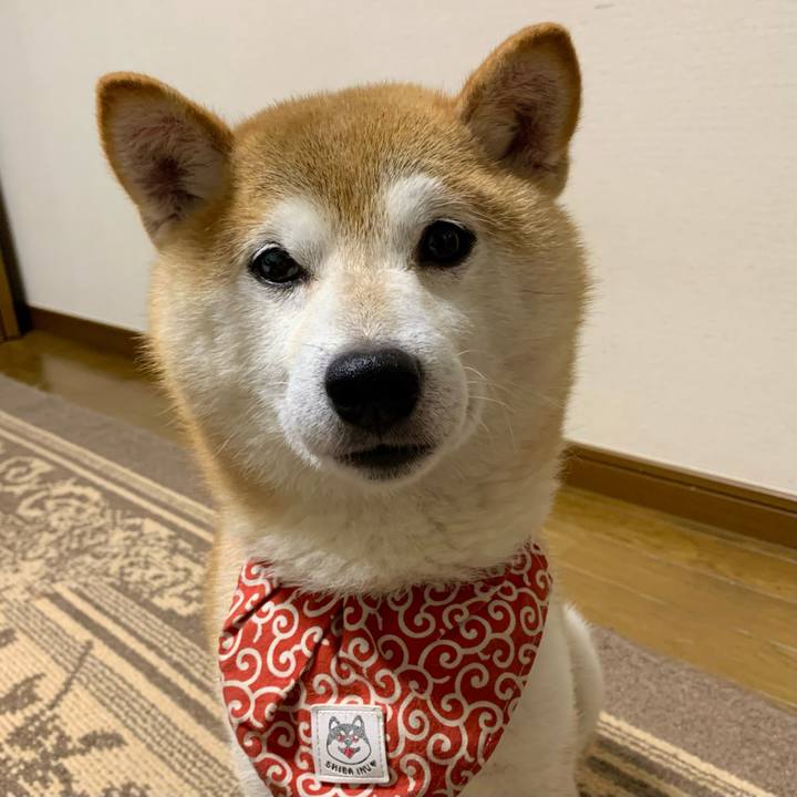 6c9ff7d4 e164 4ae5 ba78 d4aca653aecc 1658919203709