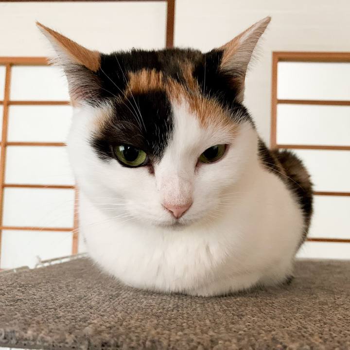 6ca0111b ad30 4755 8b3c 463d83d97bf6 1547950022514