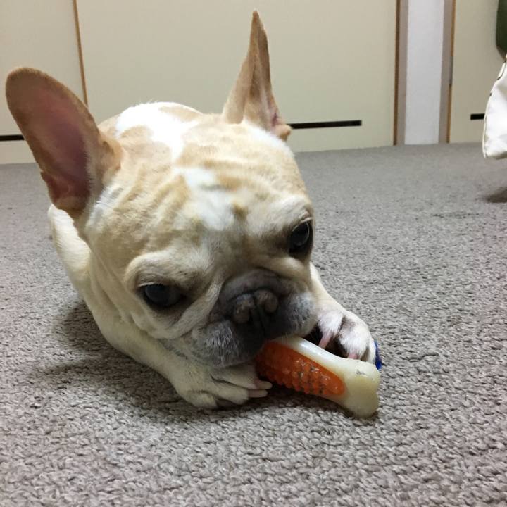 6ca01445 c928 4779 8054 31e5b58c2987 1509016837179