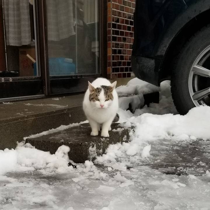 6ca027aa 73f7 46ca ad39 4549e7b07217 1672041987288