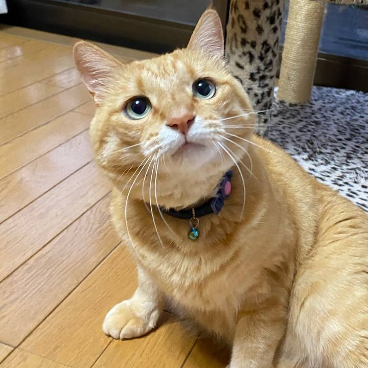 6ca048d0 6685 446e b2a3 d2db346f4370 1690286234464