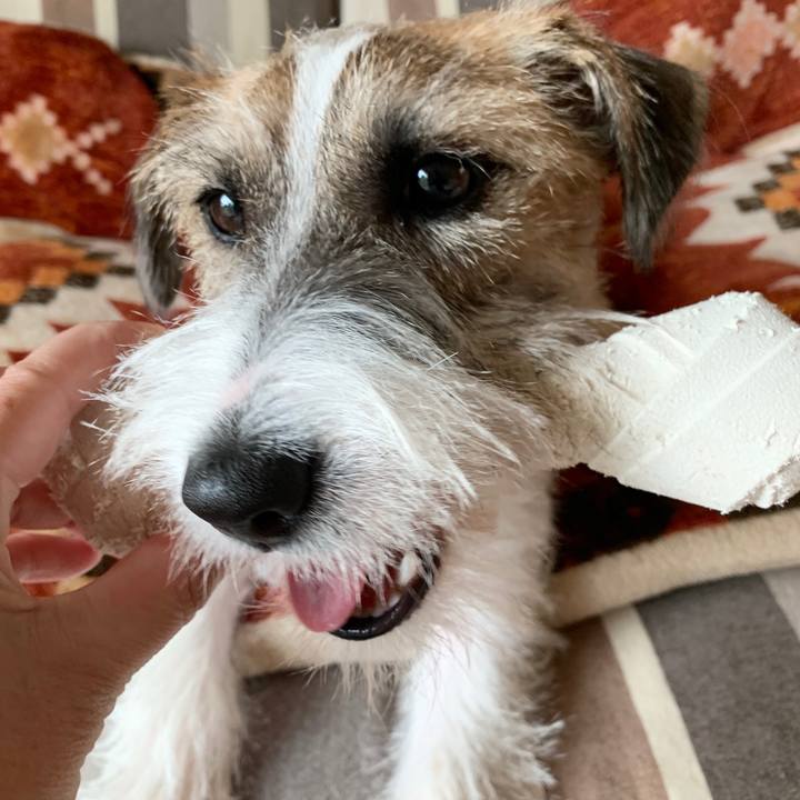 6ca08502 3c9e 4783 9e3d 8cb5fb6a1c14 1573448565926