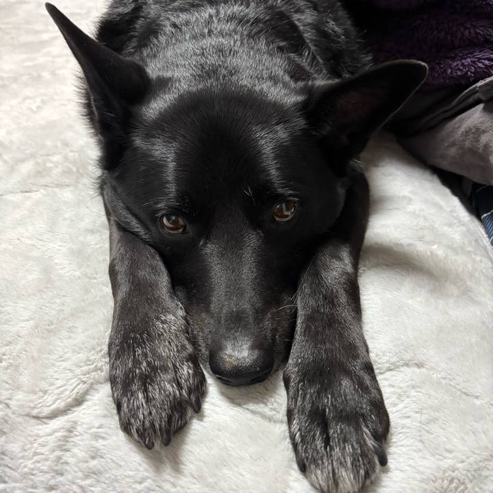 6ca0b06f e9d3 4bf2 88ba 4d4c57cb4078 1764506331939