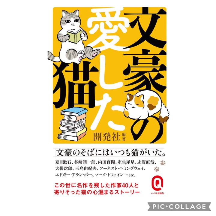 6ca0b66f 3bb1 42ec acbf a263c6c76ed0 1683021527029