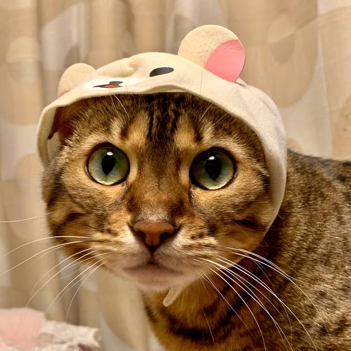 6ca0bfb0 a898 4a83 8bbe 09732ec12b0c 1558046288296