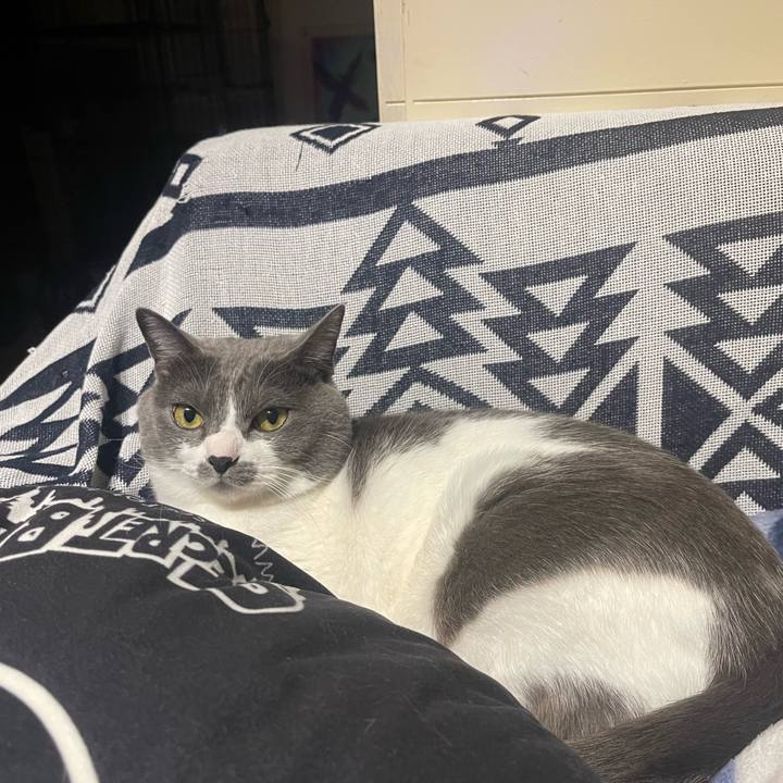 6ca0c571 3f9a 4ddd a2f2 18f761b87015 1673103897973