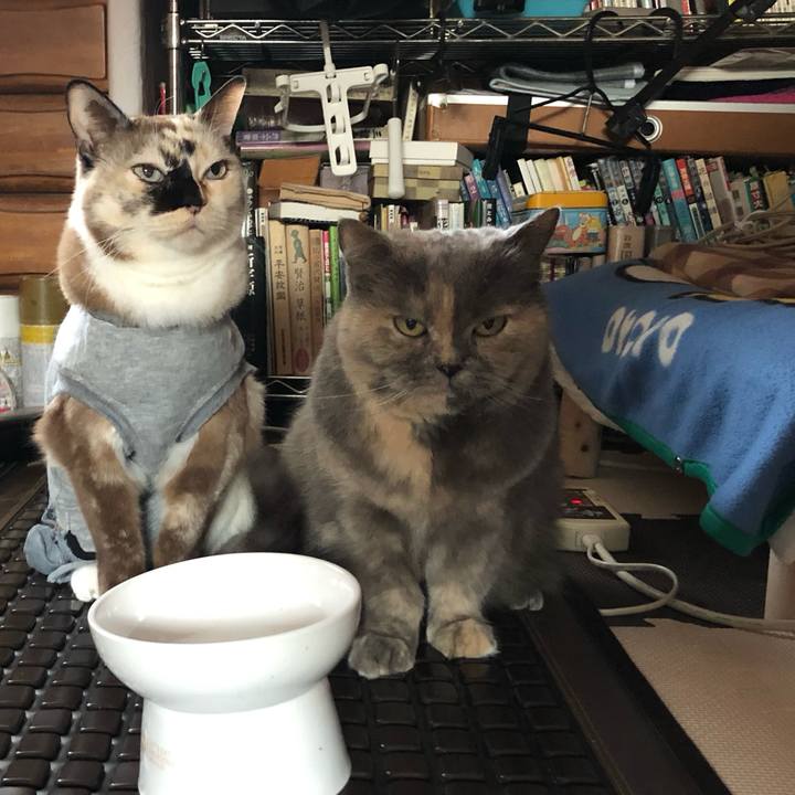 6ca0d446 b6ac 4af9 9355 cbceabb5d5c7 1669423115626