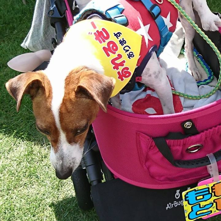 6ca10afb bd11 4591 b432 890763a9d7b9 1619786226939