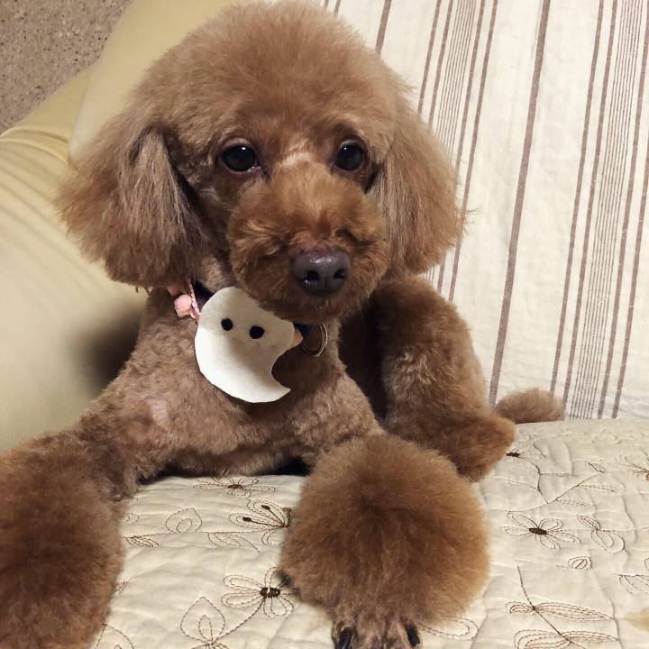 6ca12e91 0175 4b55 bf3f fca7233d497e 1572151619212