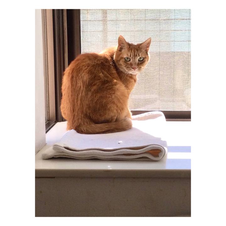 6ca14bf7 fd68 4724 aaf8 7c90f0289098 1645412984872