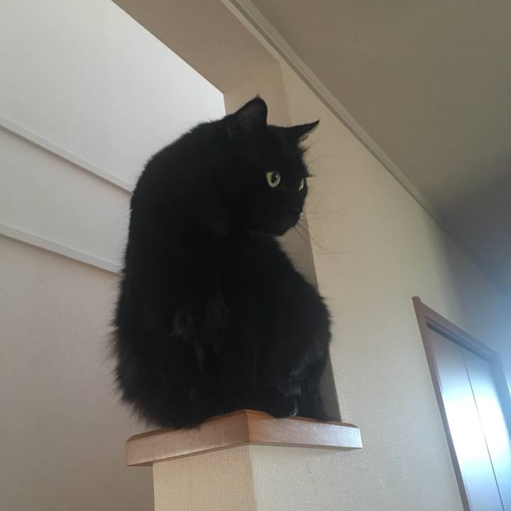 6ca156a9 5836 4724 a8d5 e60163b785f5 1533690260820