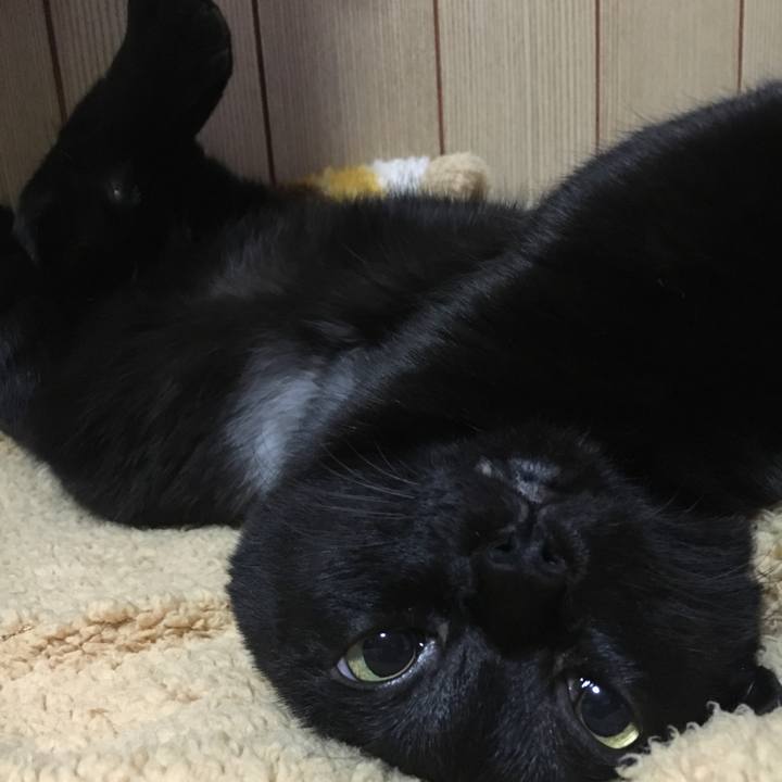 6ca170cc 8105 4015 b3d2 c0a0c418bb95 1509276772981