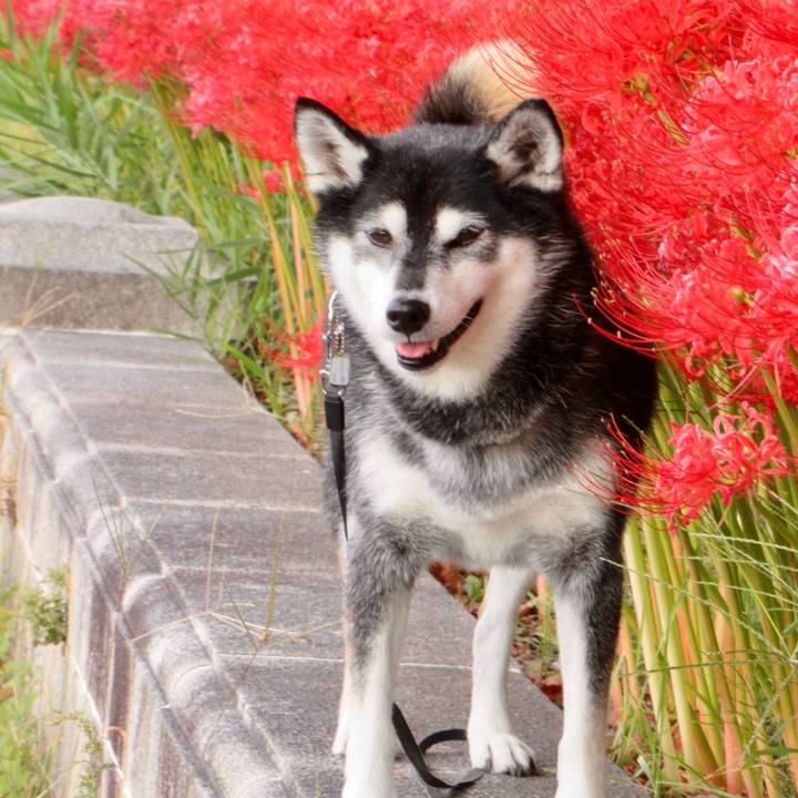 6ca1864d e0a7 4d7e b87b da192984788d 1665128034314