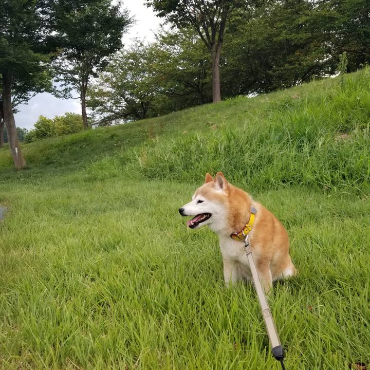 6ca18dc0 80b7 4eda 9748 4b83ddc49895 1692431009151