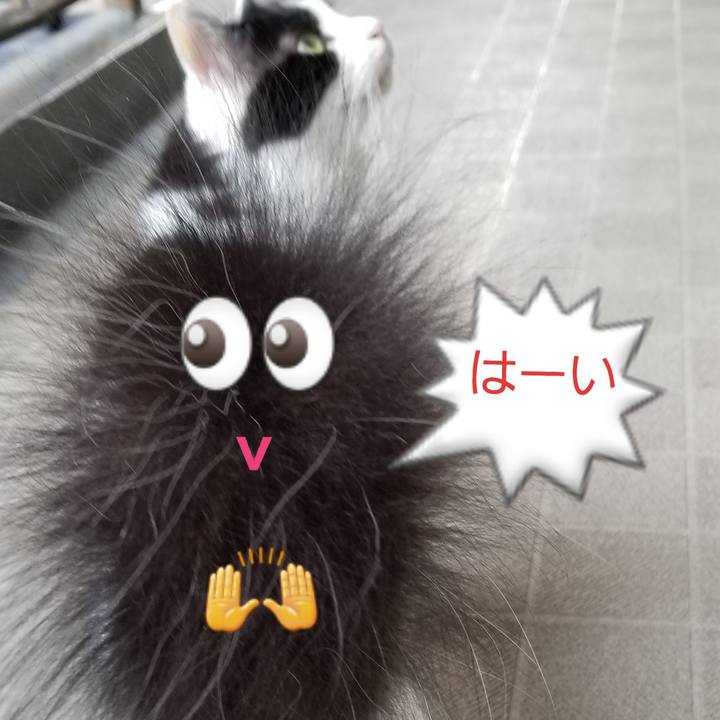 6ca18f5b 752b 4112 90bc 869ae169bfe1 1597006276388