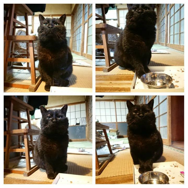 6ca1a193 3ac6 4d45 9f52 f04652292433 1617961103023