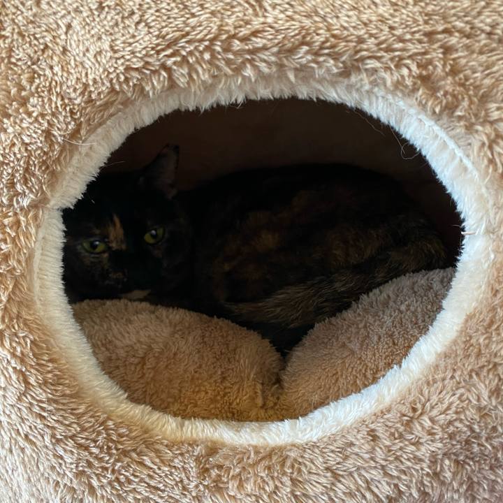 6ca1a718 6617 469d af73 da82719622df 1733022829152