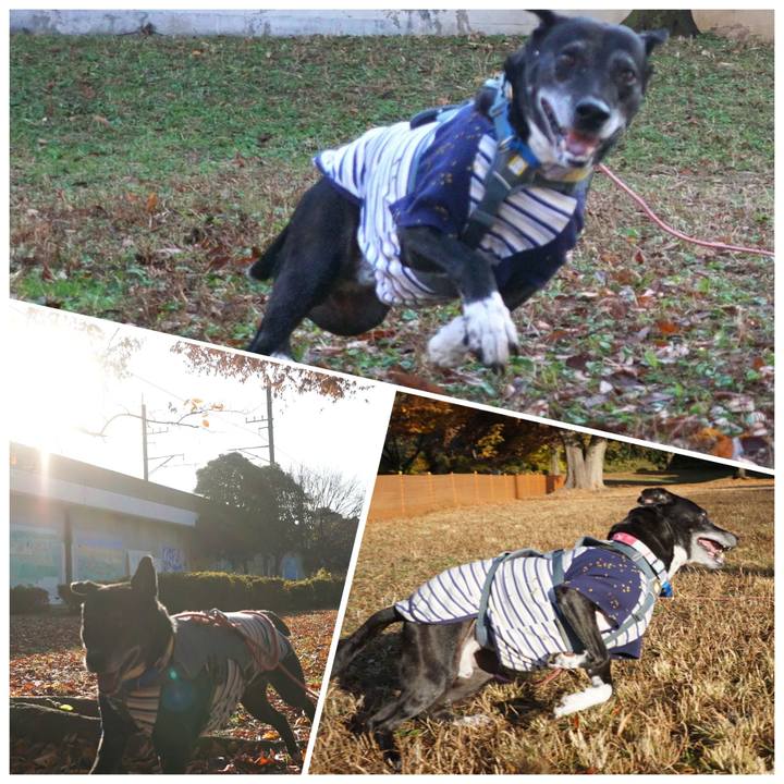 6ca1bd3e 7f9e 40ff a14c f4d55b6f3b7d 1764463650730