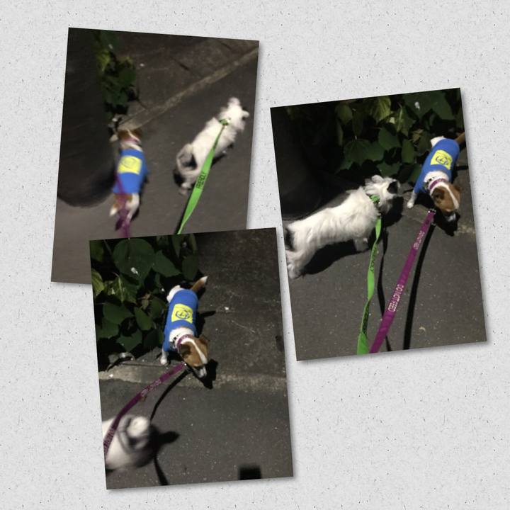 6ca259f7 c491 4e7d bcb3 667936a9cbef 1529933814868